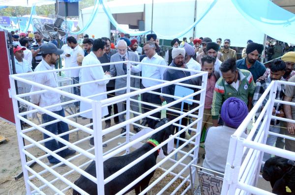 Dr. Sukhpal Singh visting Mela with Dr. Inderjeet Singh, VC and Officials 